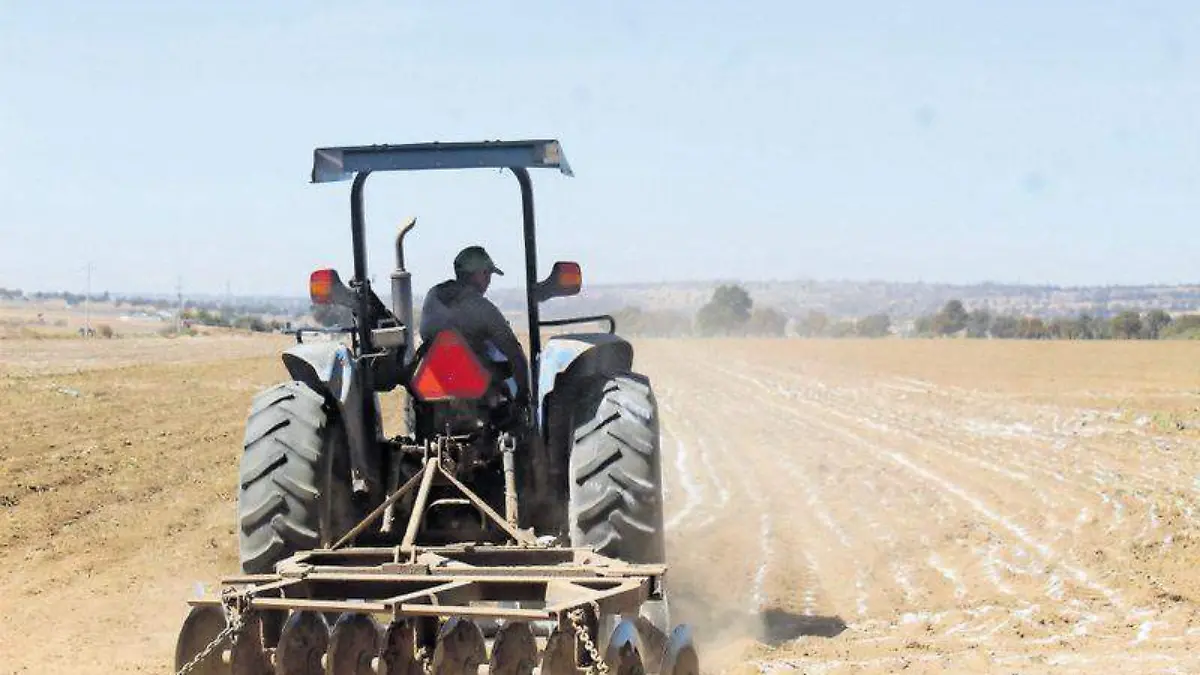 campo, campesinos